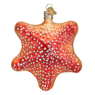 Details about   TROPICAL STARFISH GLASS CHRISTMAS ORNAMENT ~ NWT 